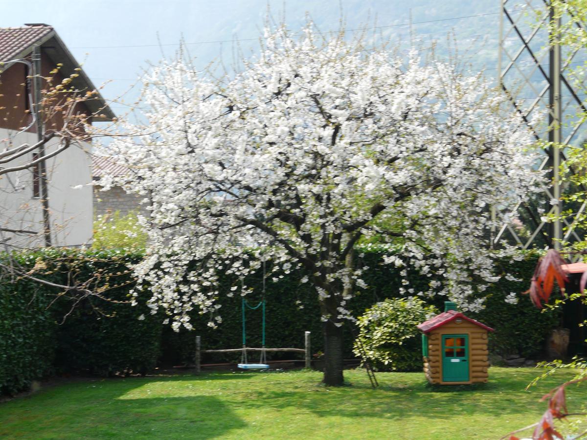 La Casa Di Clara Esine Exterior foto